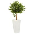 Dare2Decor 4 in. Olive Topiary Artificial Tree in White Planter DA2474389